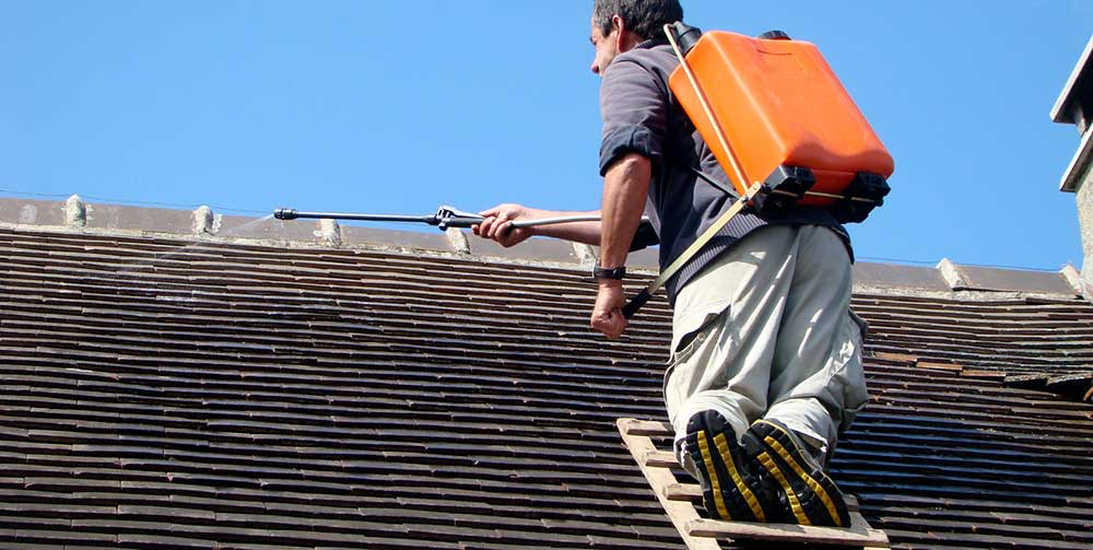 Démoussage de toiture, le rôle indispensable des couvreurs